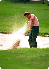 Golfing in Sarasota Florida